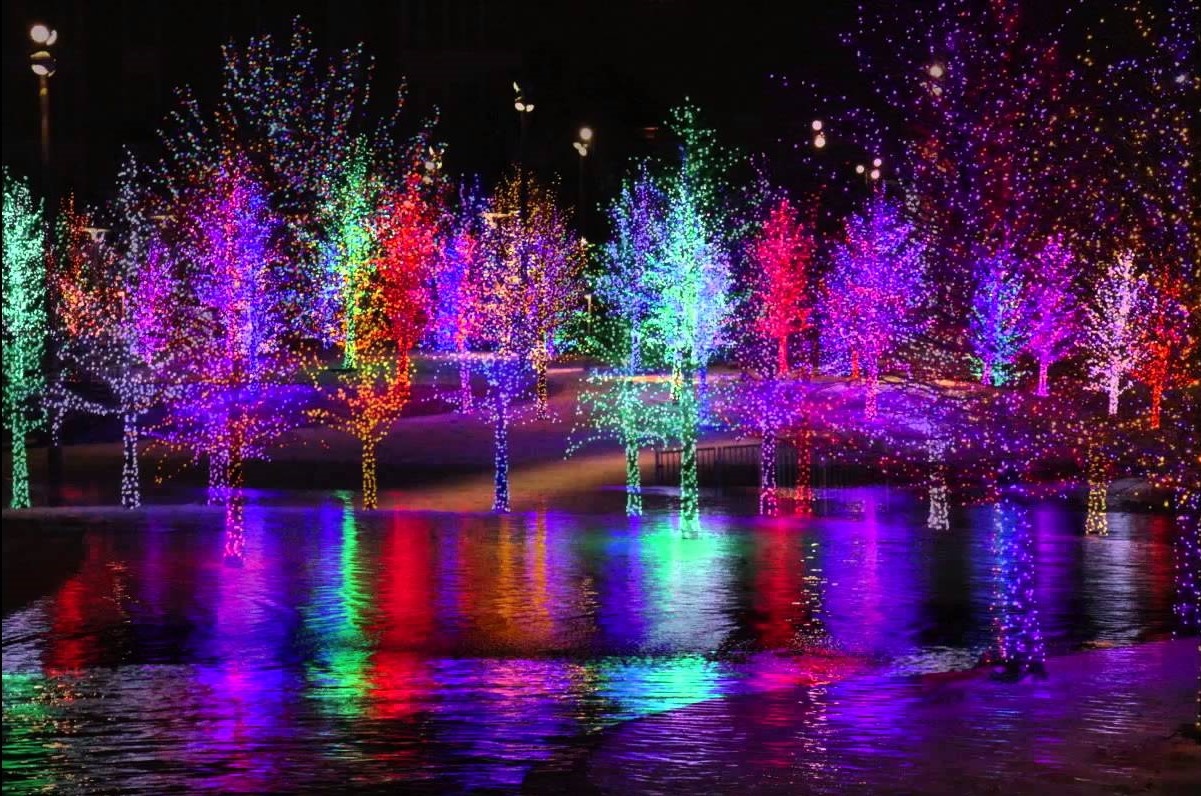 Le hoi anh sang mua Giang sinh anh 3