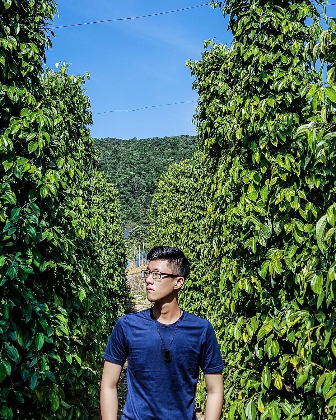 Du lich Phu Quoc anh 9