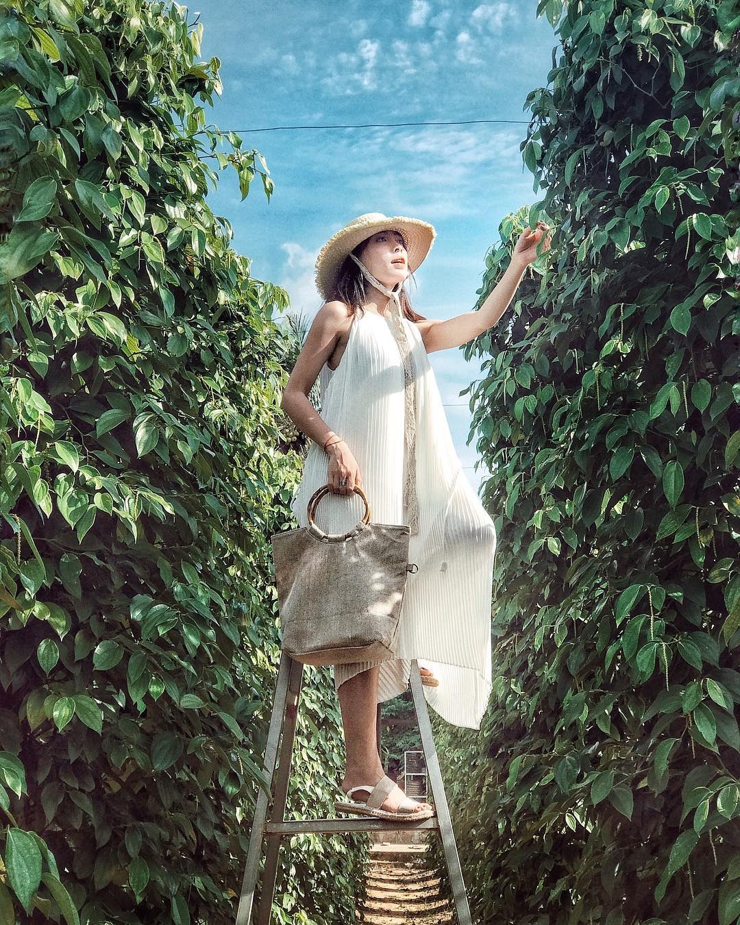 Du lich Phu Quoc anh 10