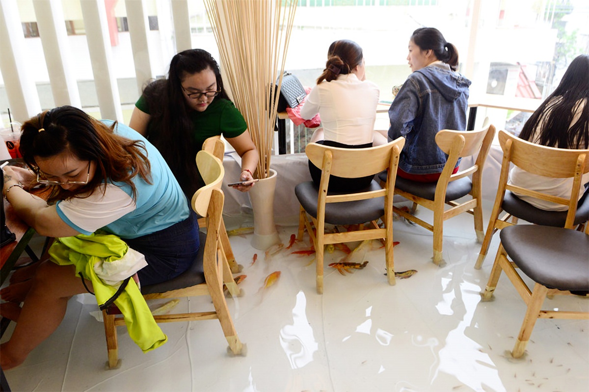 Quan ca phe doc dao o Sai Gon anh 5