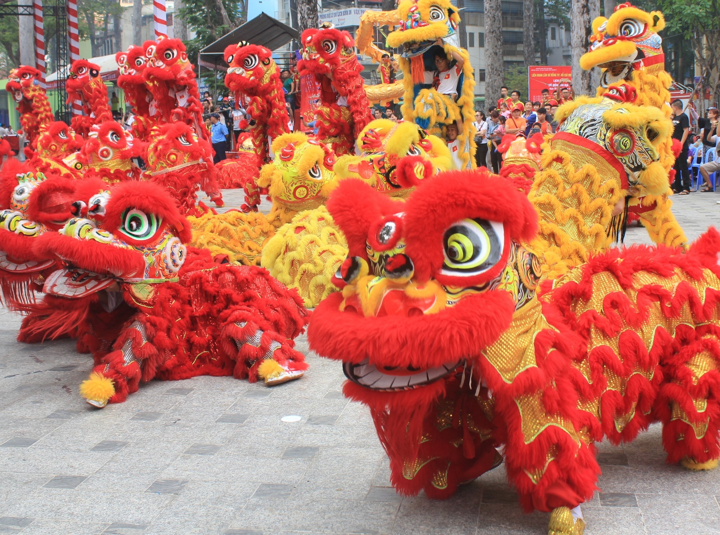 Khan gia TP.HCM bat ngo truoc man dong dien cua 108 con lan hinh anh