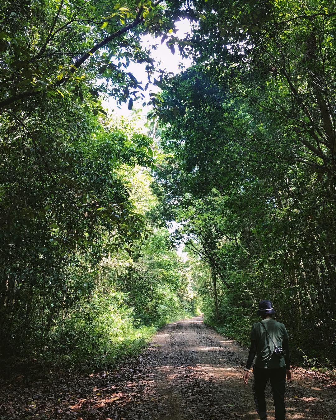 Dia diem du lich gan Sai Gon anh 9