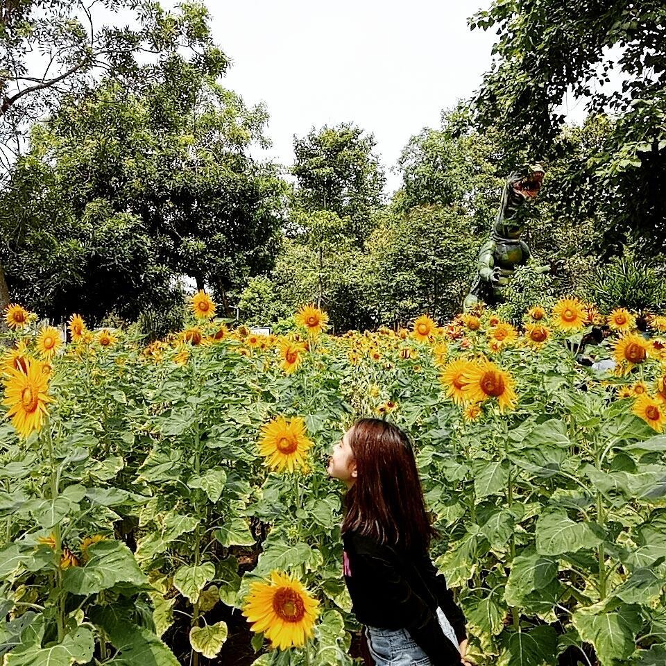 Dia diem du lich gan Sai Gon anh 8