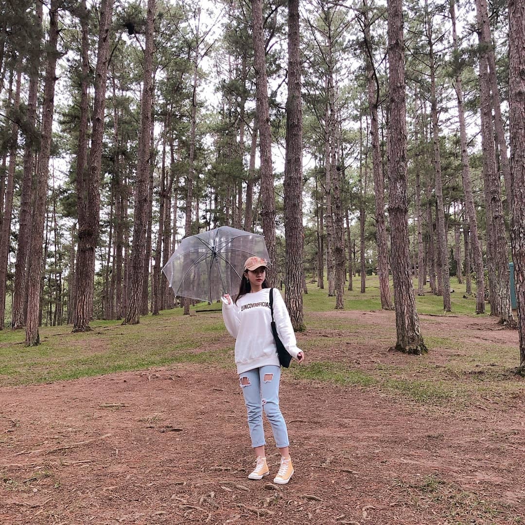 Du lich dip Tet Duong lich anh 11