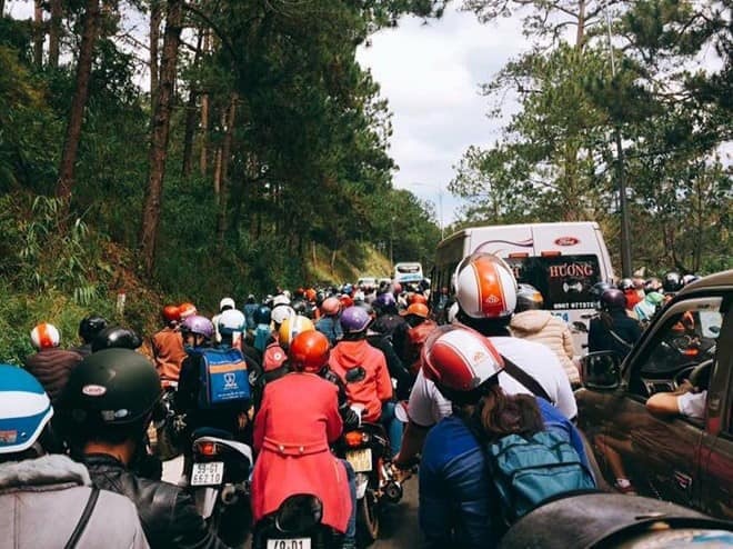 Da Lat dip Tet Duong lich 2019 anh 7