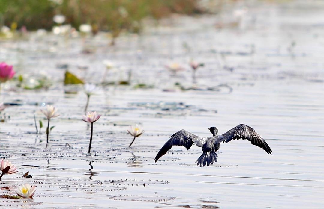 nhung dia diem dep o mien tay anh 10