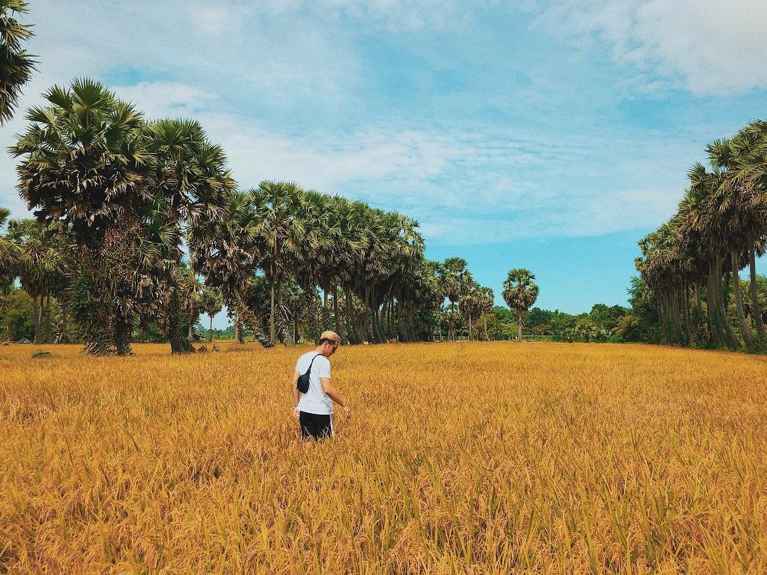 Dia diem du lich Tet am lich anh 3