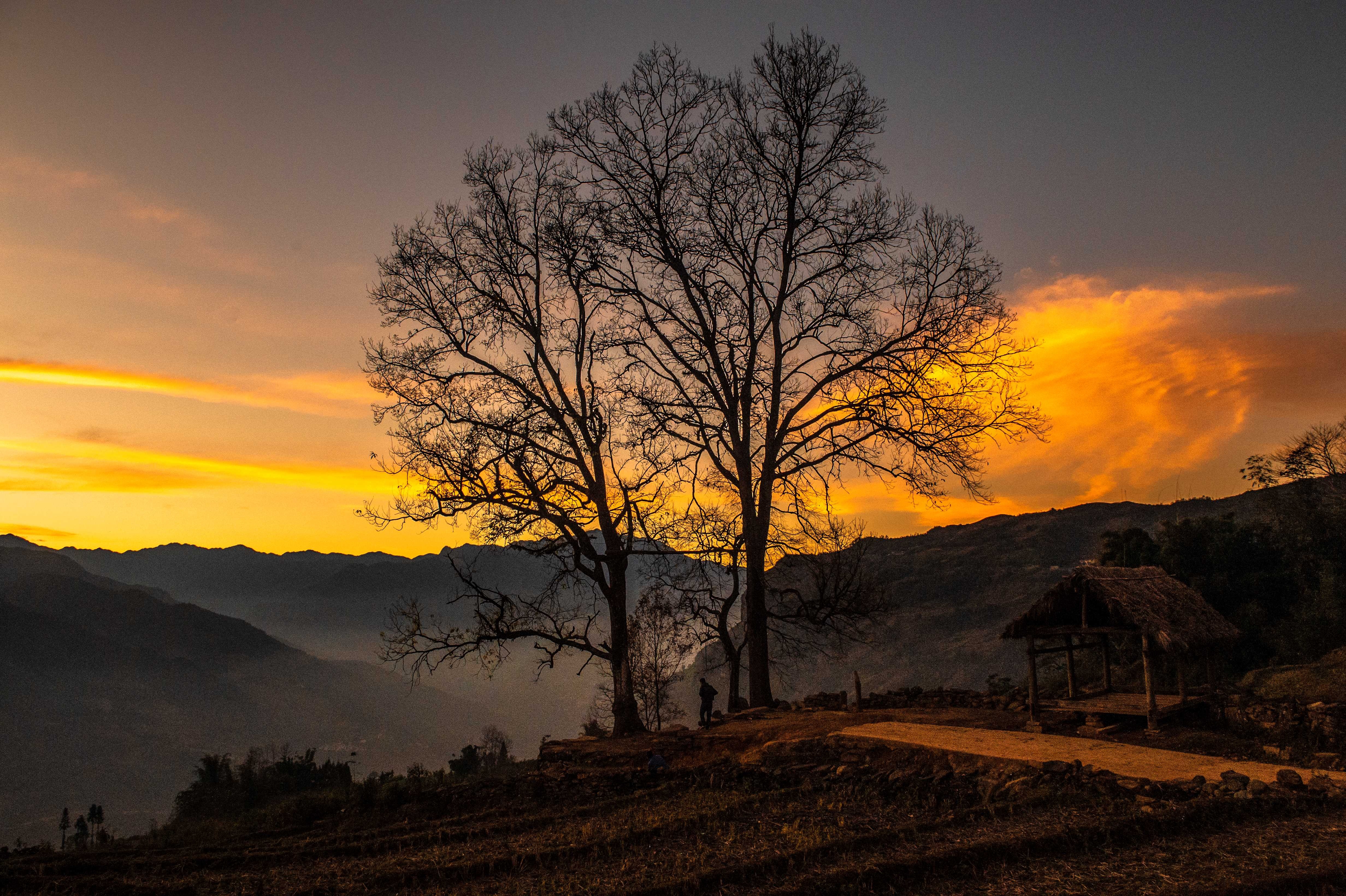 kinh nghiem di Tay Bac mua xuan anh 2
