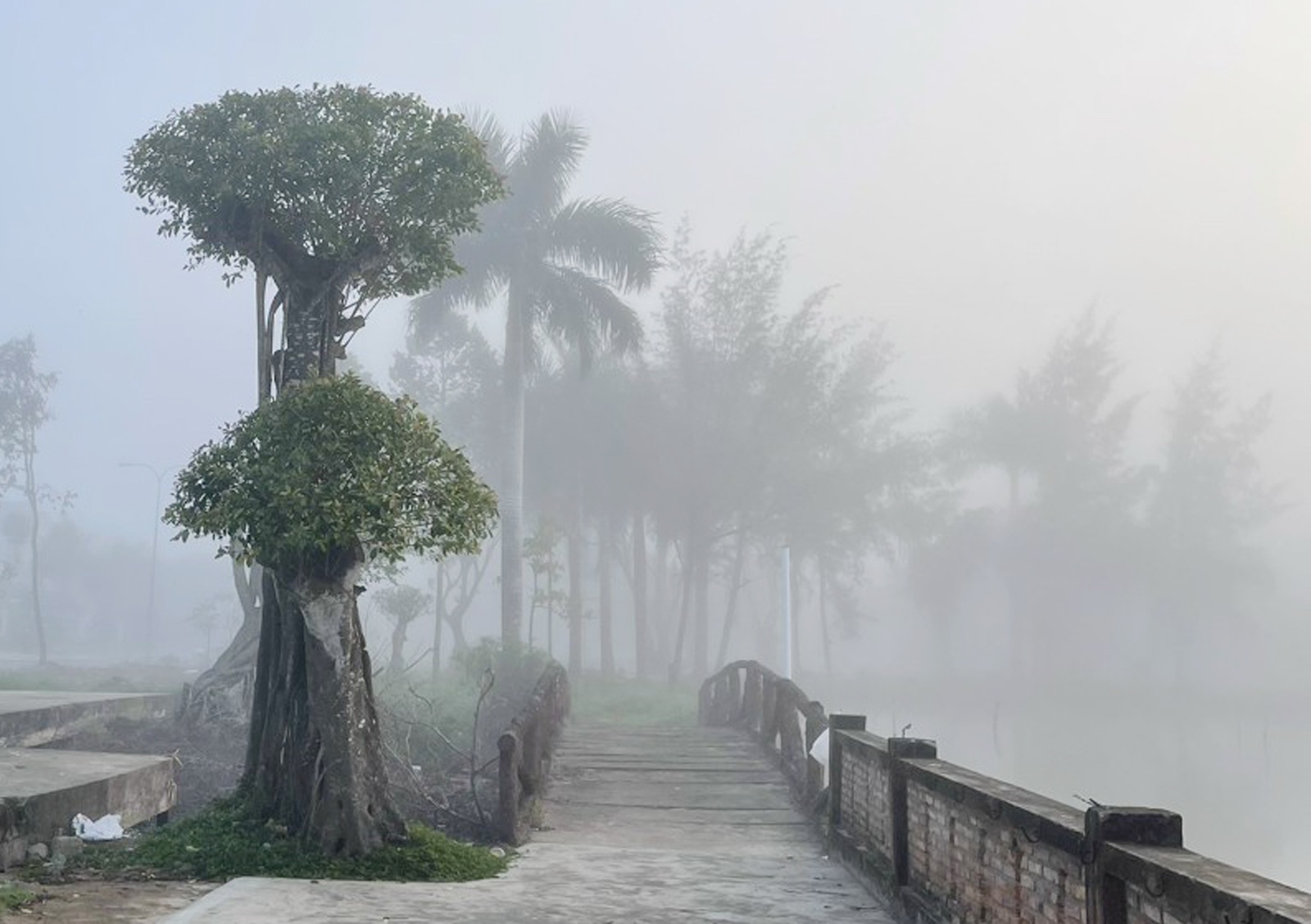 Suong mu day dac o nhieu tinh mien Tay hinh anh