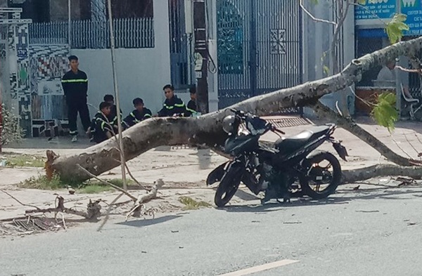 Cay diep nga khien 2 thanh nien nhap vien hinh anh