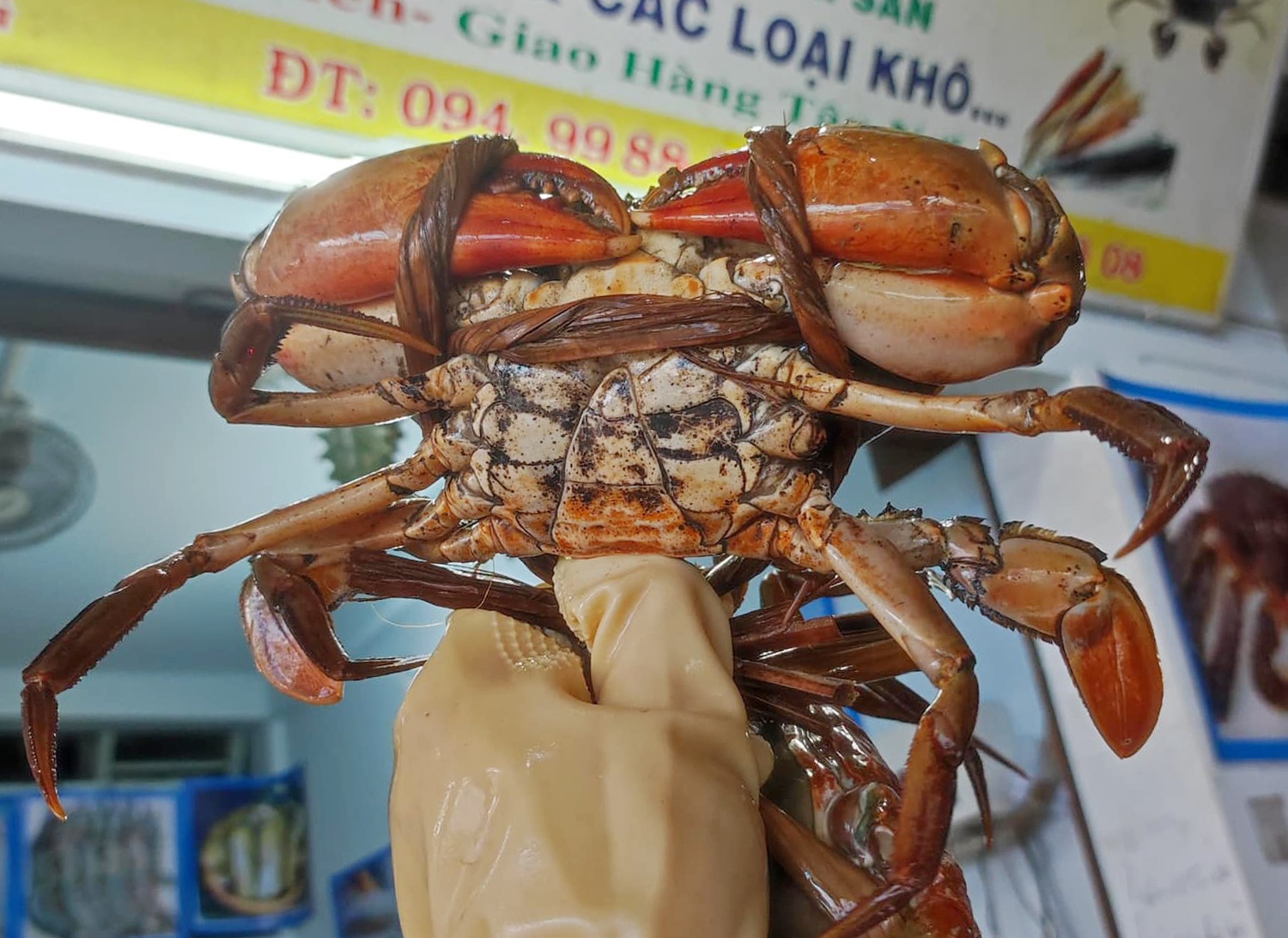 Gia cua bien tang cao hinh anh