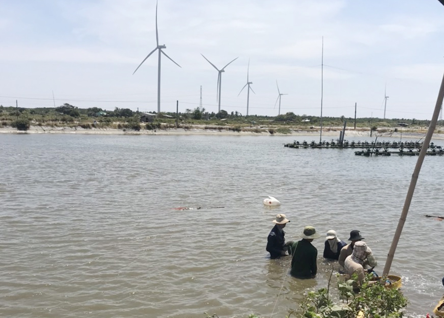 Gia tom tang tro lai anh 1