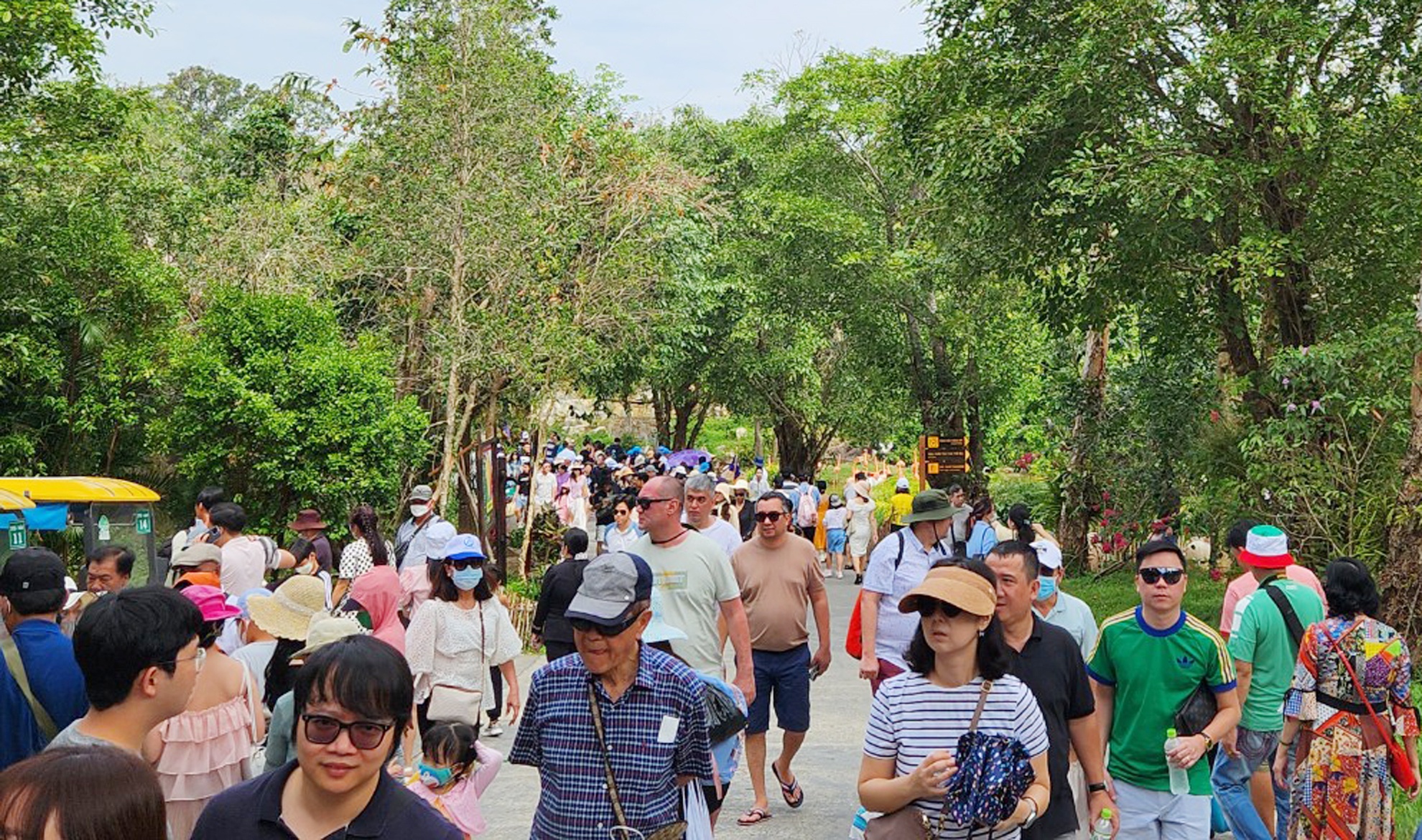 Du khach do xo di vuon thu, cap treo o Phu Quoc hinh anh