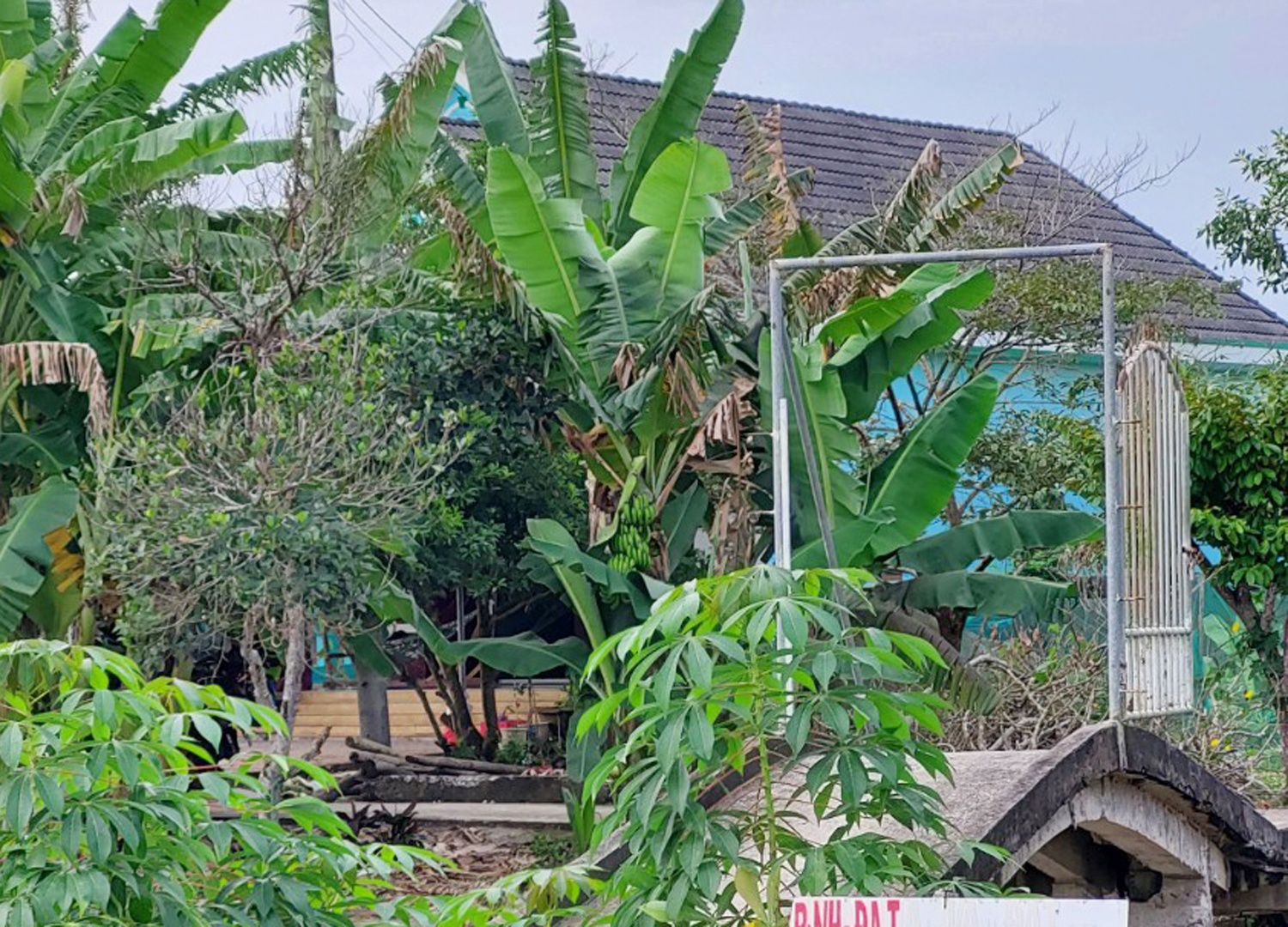 Cuop tiem vang anh 2