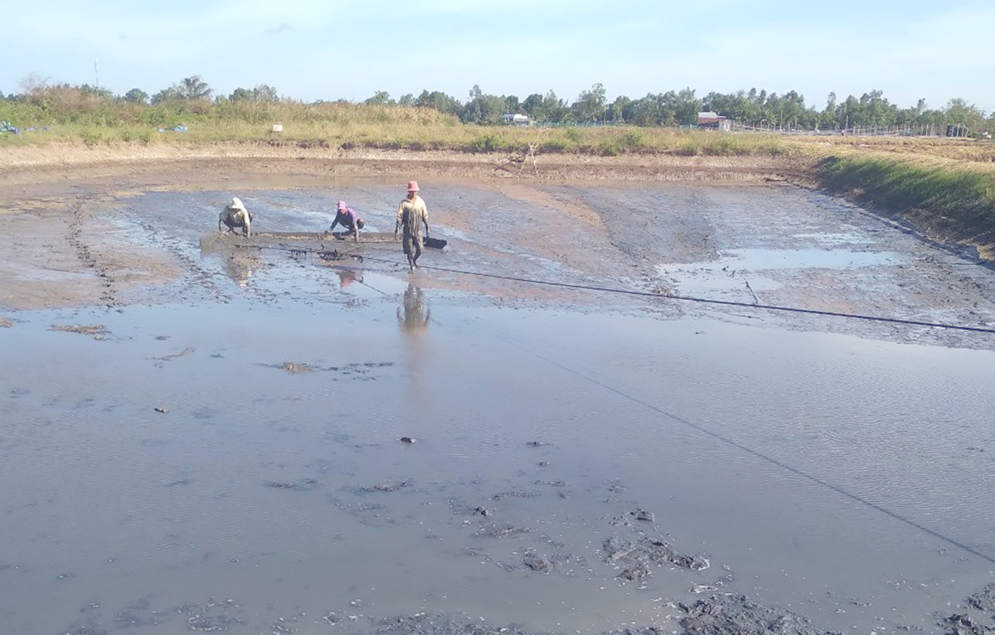 Nguoi nuoi tom khat von anh 1
