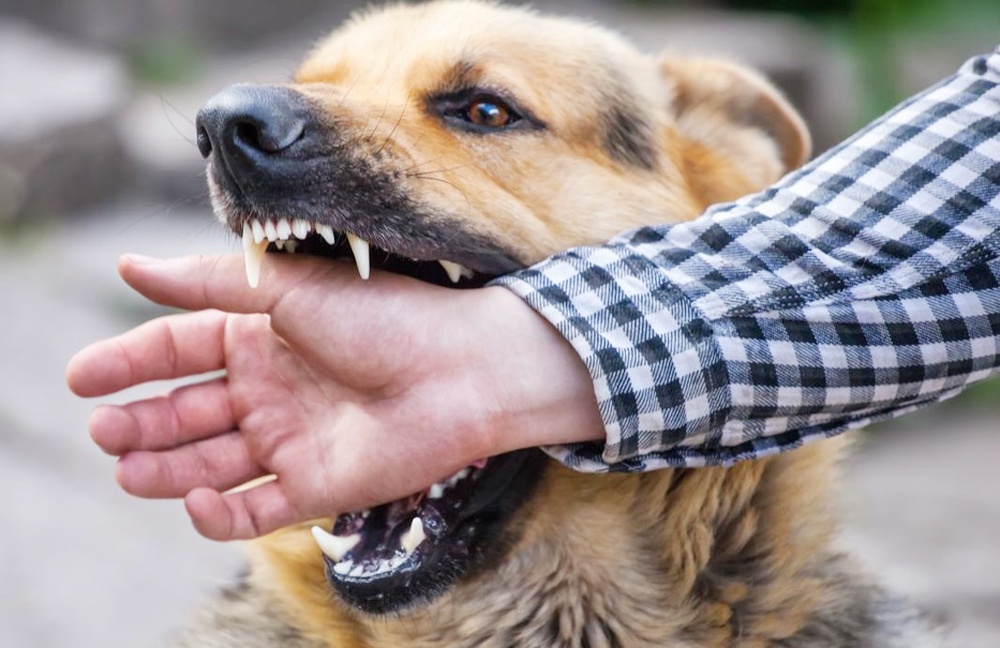 Be trai o Ca Mau bi cho dai can rach mat hinh anh