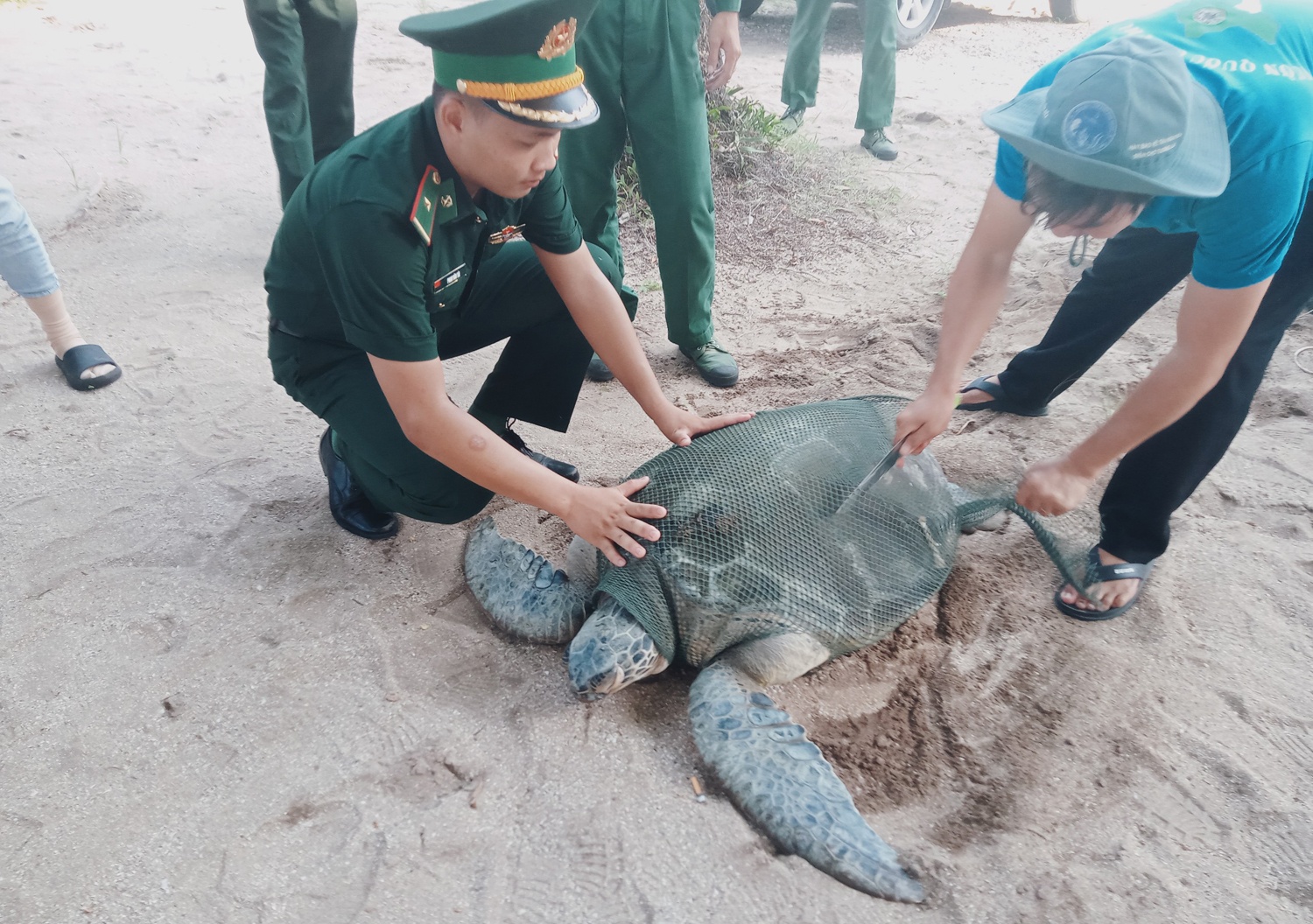 Tha rua bien ve bien anh 2