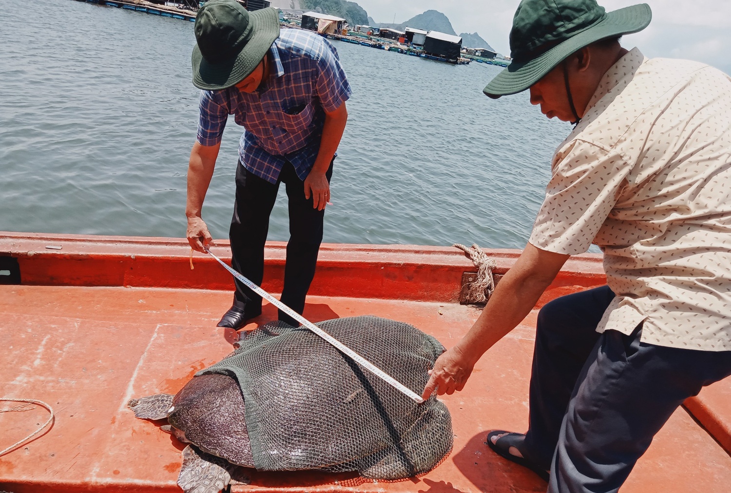 Tha rua bien ve bien anh 1