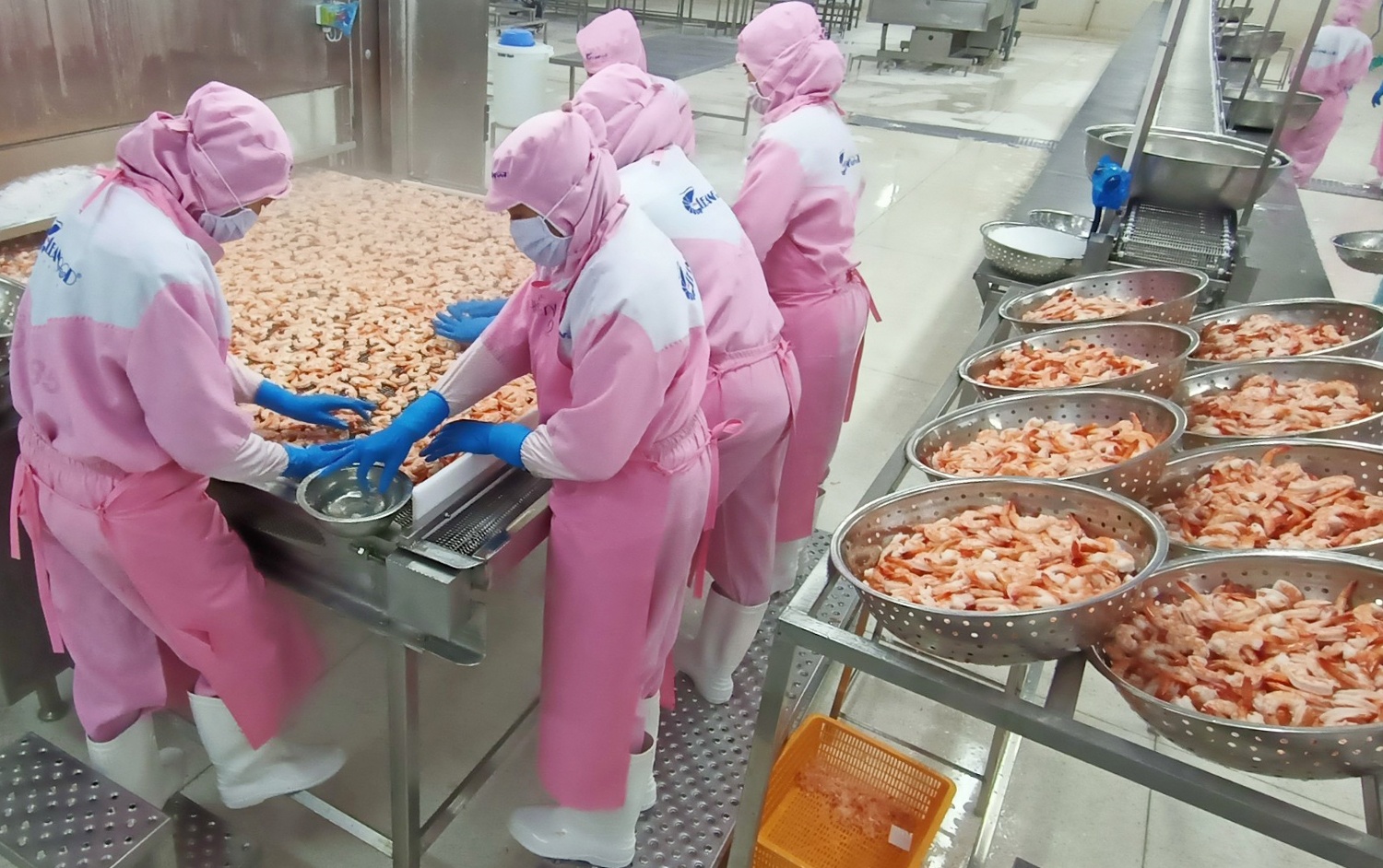 Chu tich Soc Trang tiep thu phan anh cua nhieu doanh nghiep hinh anh