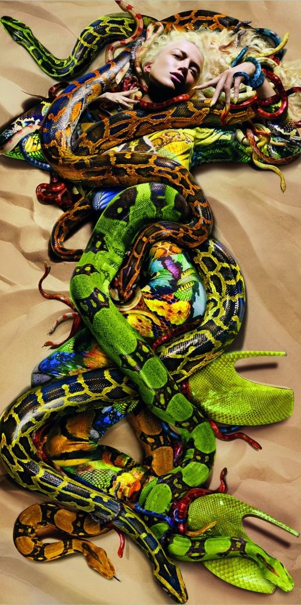Next Top Model trùng ý tưởng chụp hình với rắn ảnh 1 Next Top Model trung y tuong chup hinh voi ran anh 1