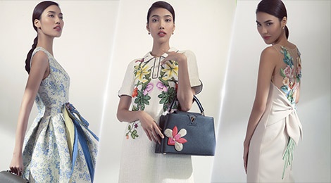 Vay hoa tiet hoa len ngoi trong mua mot thu dong hinh anh