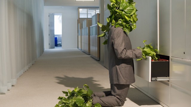 Nhung dieu chua biet ve thuong hieu Nike anh 9