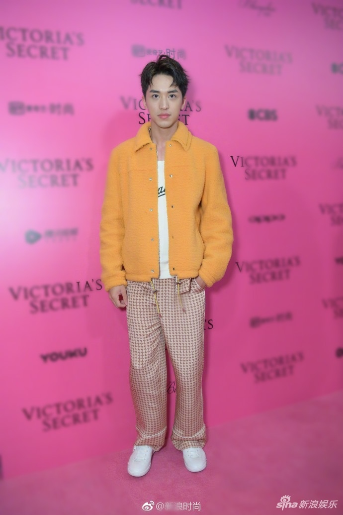 hinh anh Victoria's Secret 2017 anh 14