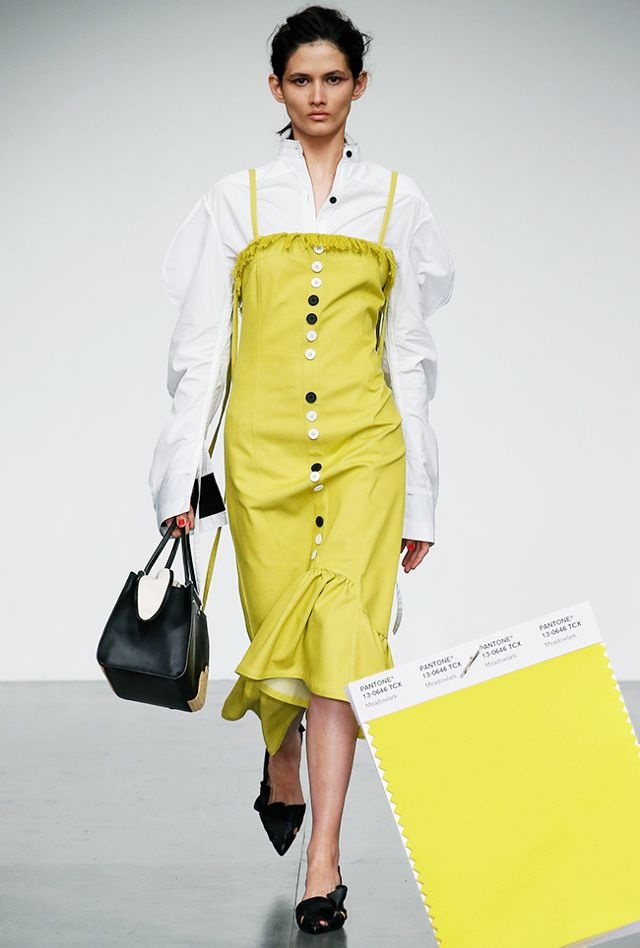 Nhung gam mau len ngoi trong nam 2018 anh 6