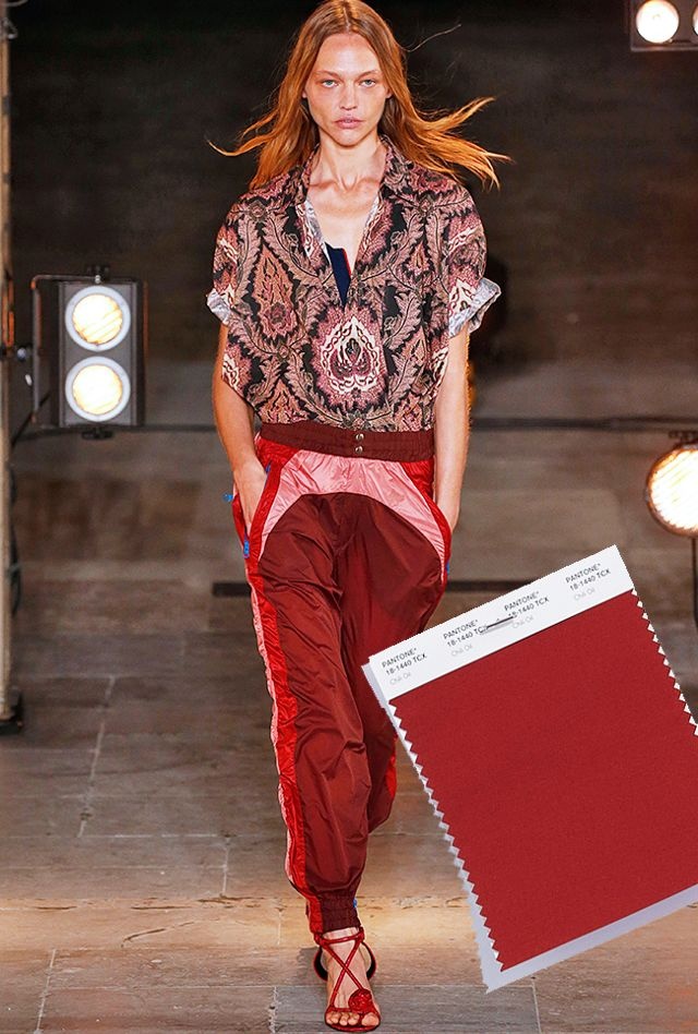 Nhung gam mau len ngoi trong nam 2018 anh 8