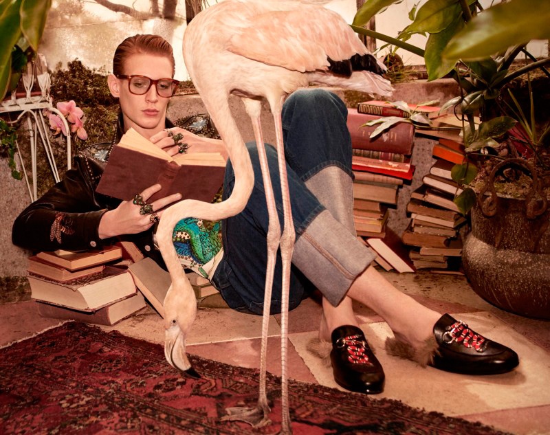 Doi giay ho got khien sao Viet me man trong thoi gian gan day hinh anh