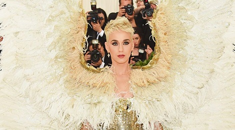 Deo canh khong lo 2,4 m, Katy Perry phai di xe mui tran den Met Gala hinh anh