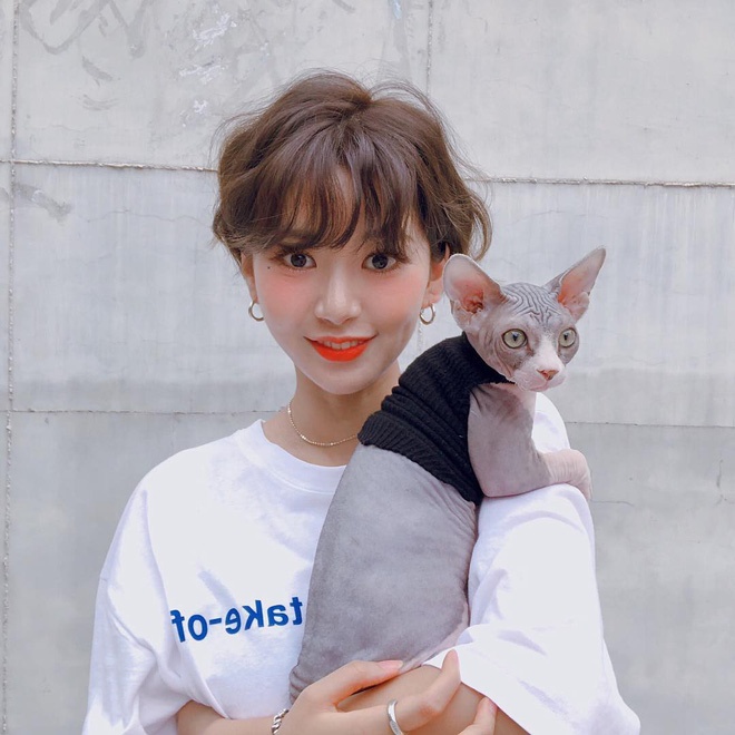 Xu huong toc pixie duoc gioi tre Han lang xe anh 4