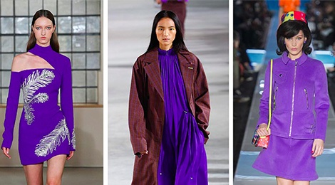 Nhung gam mau chu dao cua thu dong 2018 hinh anh