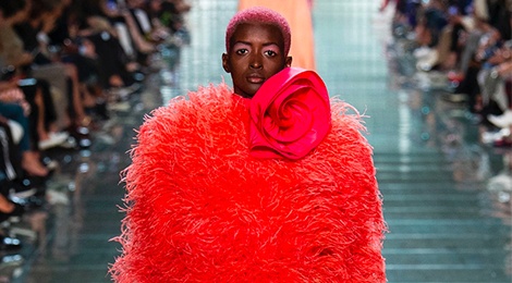 Gam mau nao se thong tri nam 2019? hinh anh