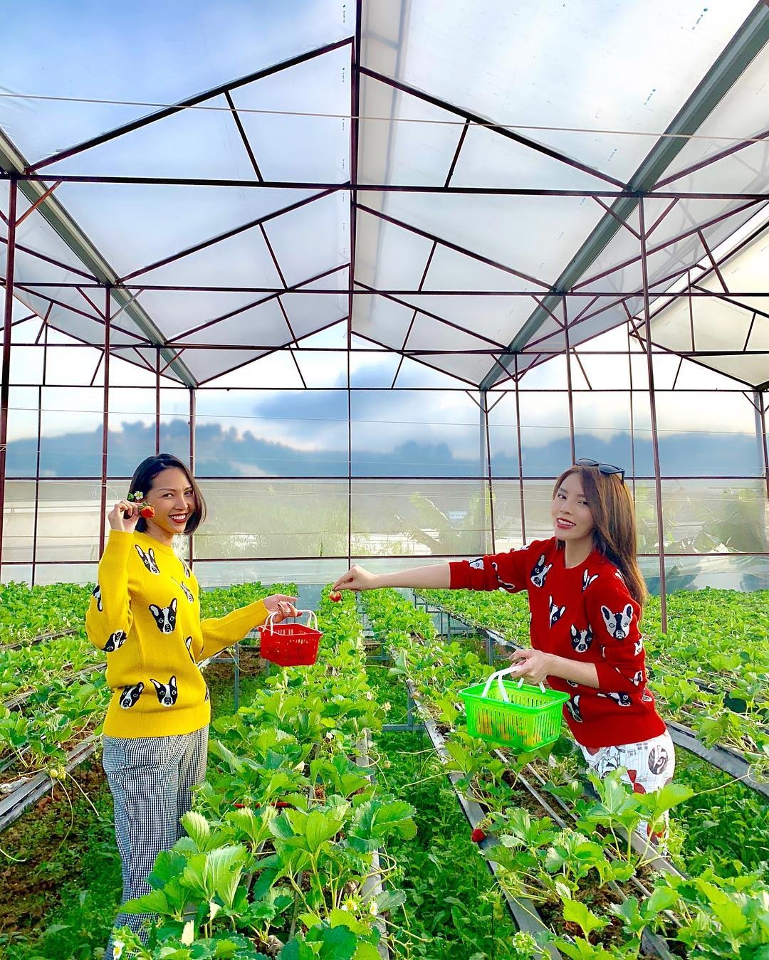 Ky Duyen mac do cap voi Minh Trieu anh 2