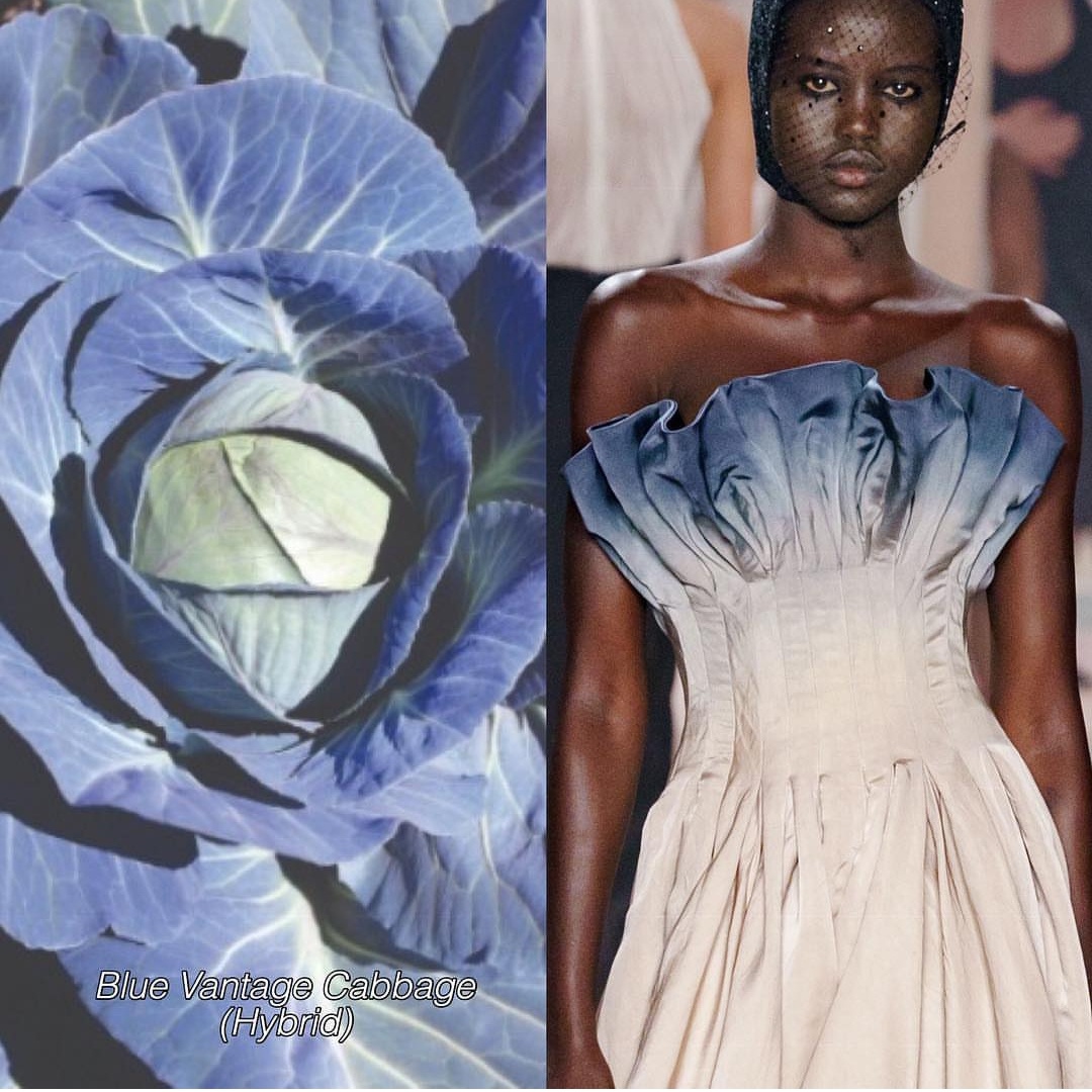 thiet ke xa xi Haute Couture anh 4