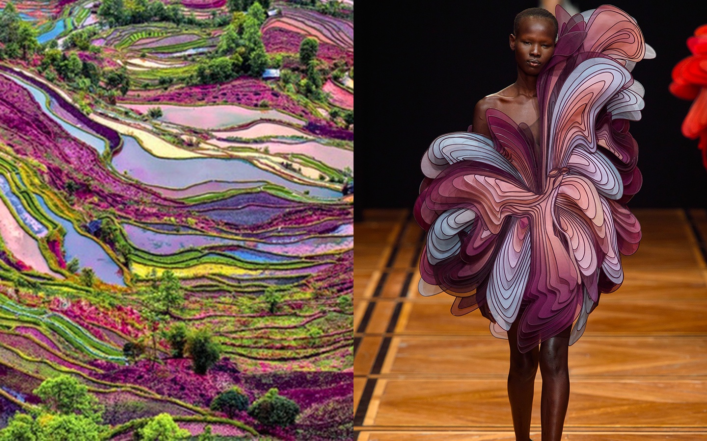 thiet ke xa xi Haute Couture anh 1