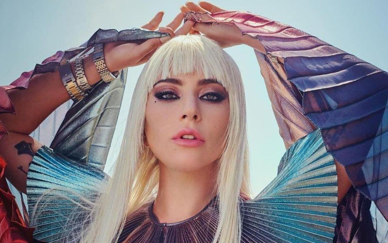 Lady Gaga - tu nang di biet den ngoi sao dang cap hinh anh