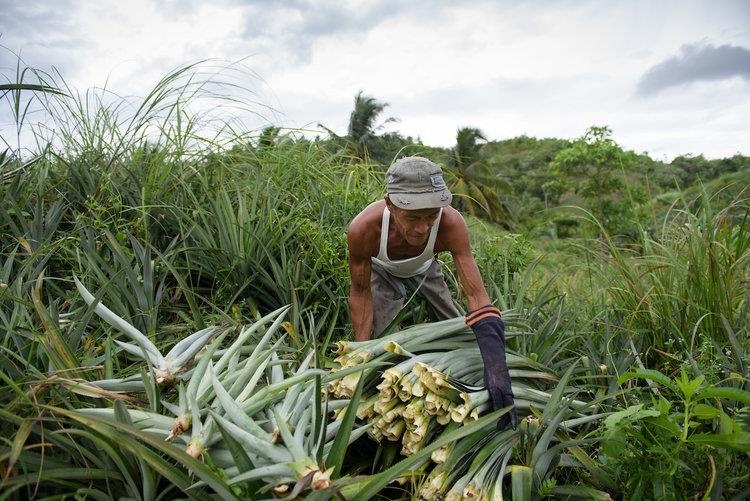 Thời trang nhanh H&M ảnh 21 Thoi trang nhanh H&M anh 21