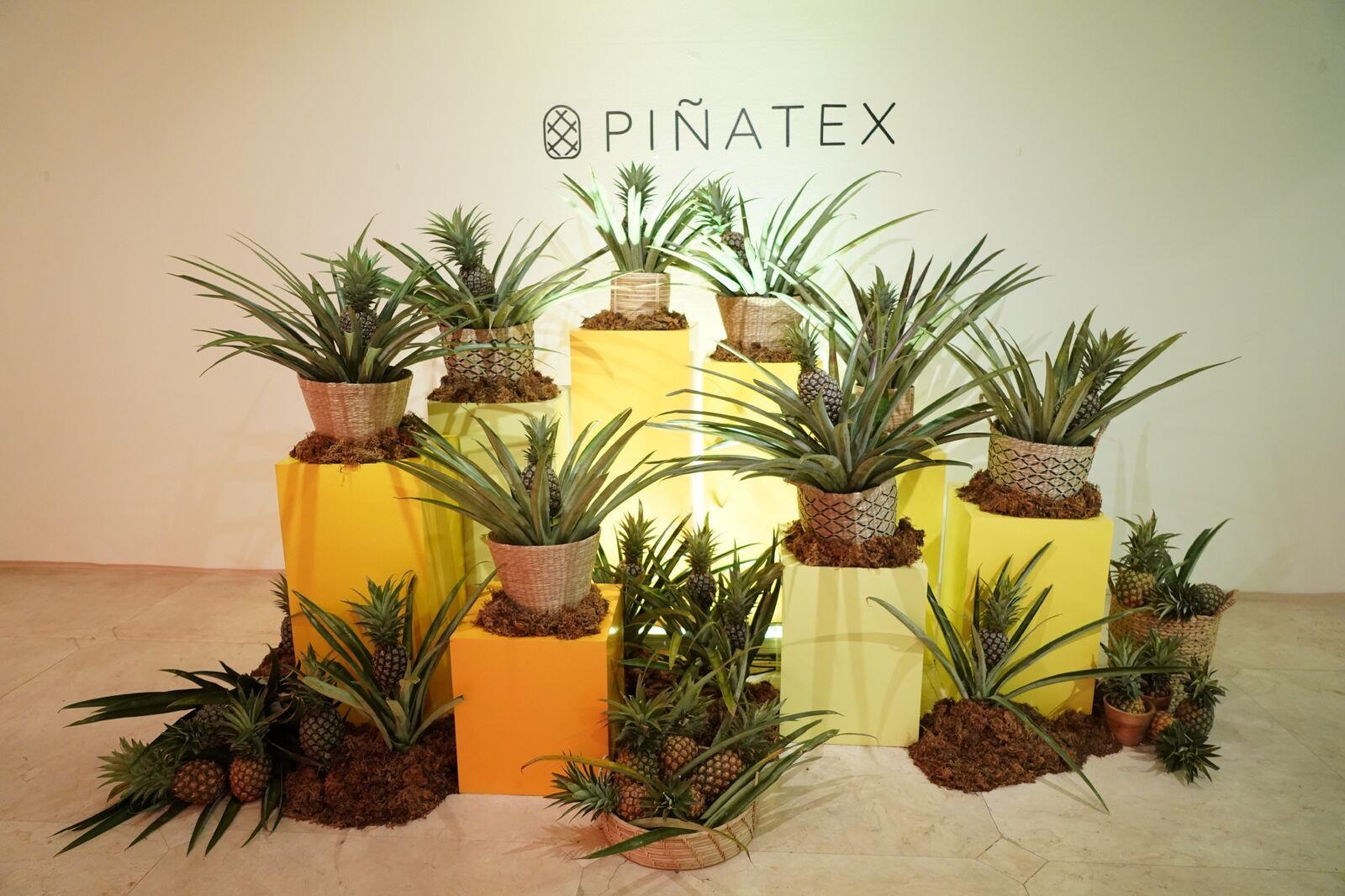 Thời trang nhanh H&M ảnh 14 Thoi trang nhanh H&M anh 14