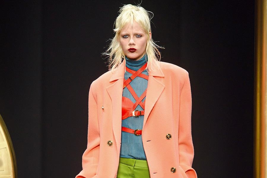 Gam mau nao thong tri mua mot Thu - Dong 2019? hinh anh