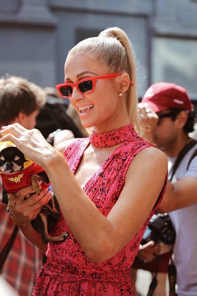 Paris Hilton dẫn chó tham dự show thời trang ảnh 1 Paris Hilton dan cho tham du show thoi trang anh 1