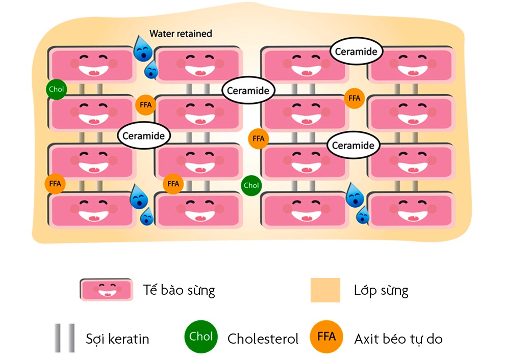 nguyên nhân khiến da nổi mụn ảnh 5 nguyen nhan khien da noi mun anh 5