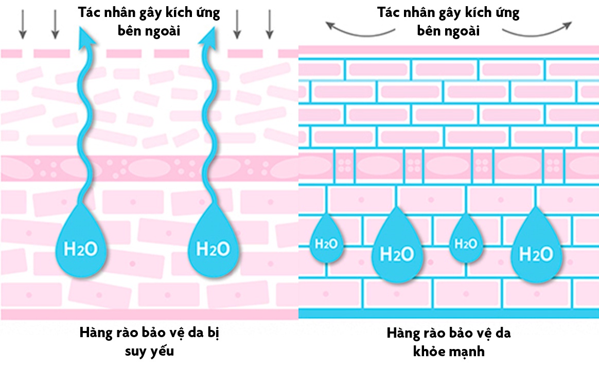 Kem dưỡng ẩm ảnh 2 Kem duong am anh 2