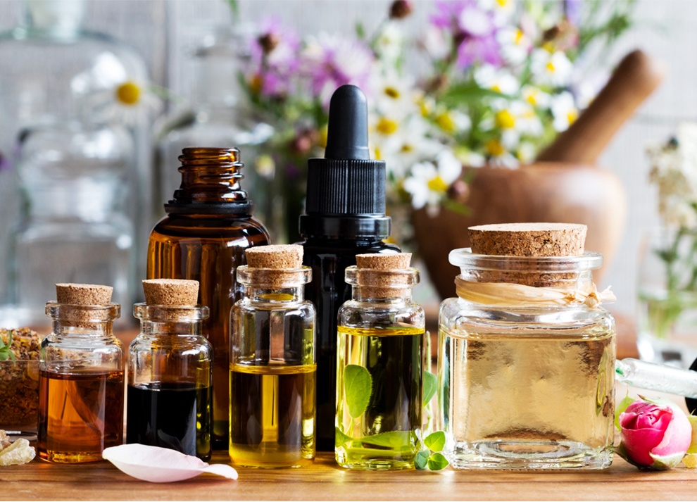 Duong da mua dong anh 1