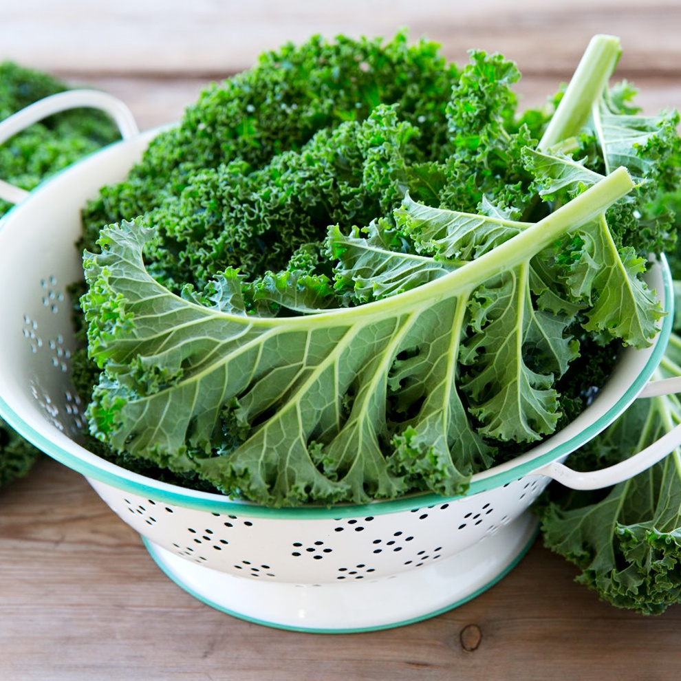 Duong da mua dong anh 9