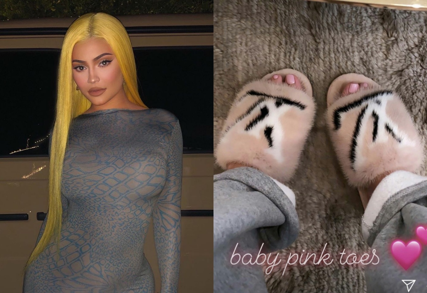 Sau khi xot thuong cho gau koala, Kylie Jenner da di ngay dep long thu hinh anh