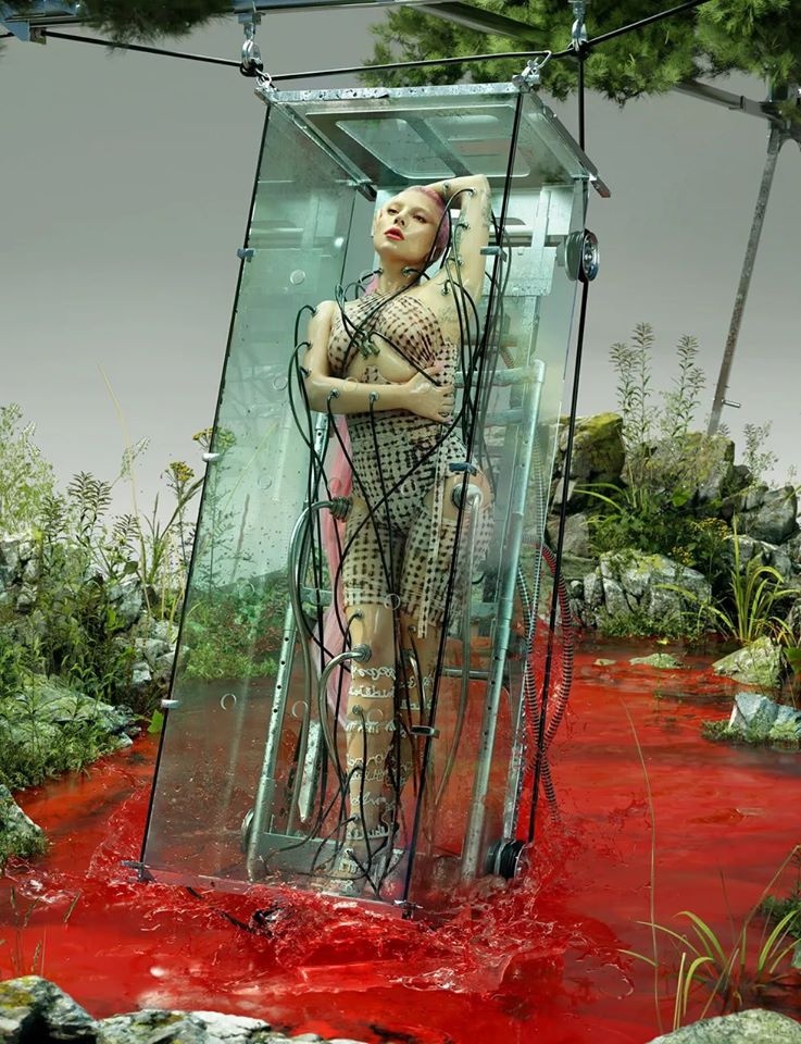 Lady Gaga khỏa thân trên tạp chí ảnh 3 Lady Gaga khoa than tren tap chi anh 3