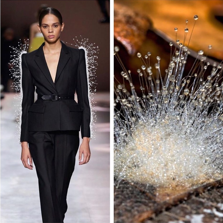 Su tuong quan giua thoi trang va thien nhien anh 4