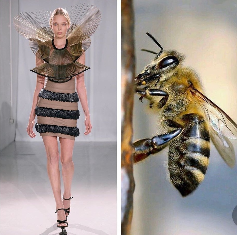 Su tuong quan giua thoi trang va thien nhien anh 2